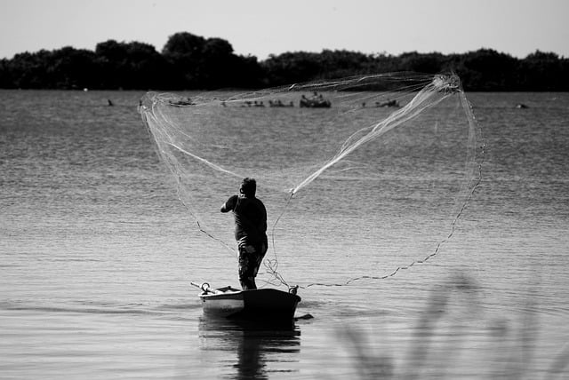 man, fisherman, fishery