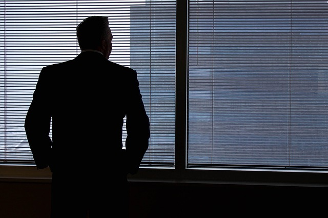 businessman, silhouette, windows